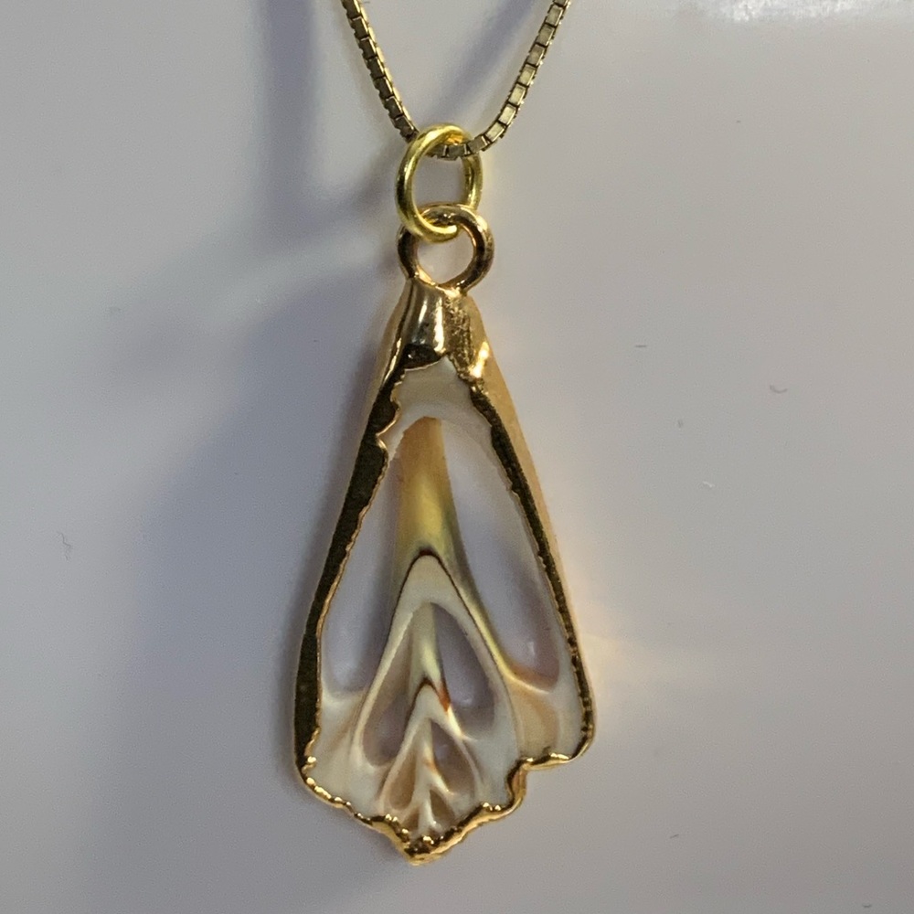 Shell Pendant - Picture 3 of 3